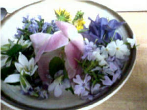 Blossoming/flower_bowl2.jpg