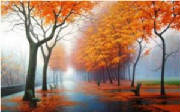 Seasonal/october_fall_time_trees.jpg