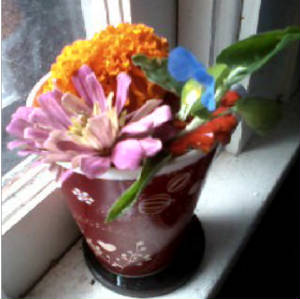 flowers_more/tea_cup_of_flowers.jpg